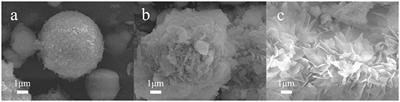 Effect of PEG on Performance of NiMnO Catalyst for <mark class="highlighted">Hydrogen Evolution Reaction</mark>